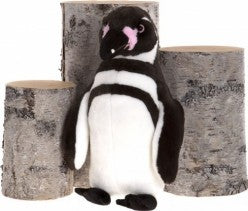 RUDD **SPECIAL OFFER** - Bearhouse
