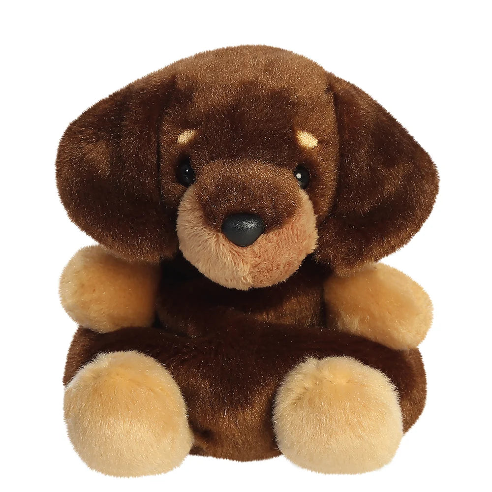 HOUDINI DACHSHUND 13CM - Palm Pals