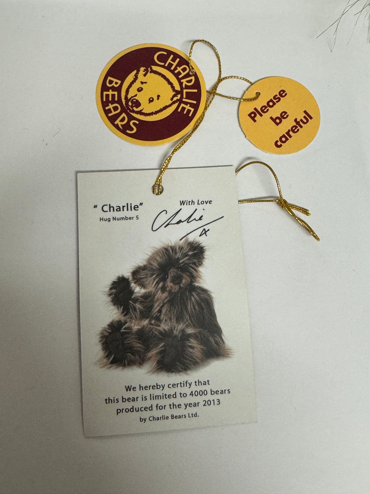 PRE-LOVED: CHARLIE YEAR BEAR 2013 - Charlie Bears