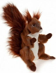 CYRIL SQUIRREL PUPPET 28CM - Charlie Bears