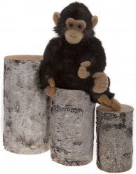 TANZI 19" - Bearhouse