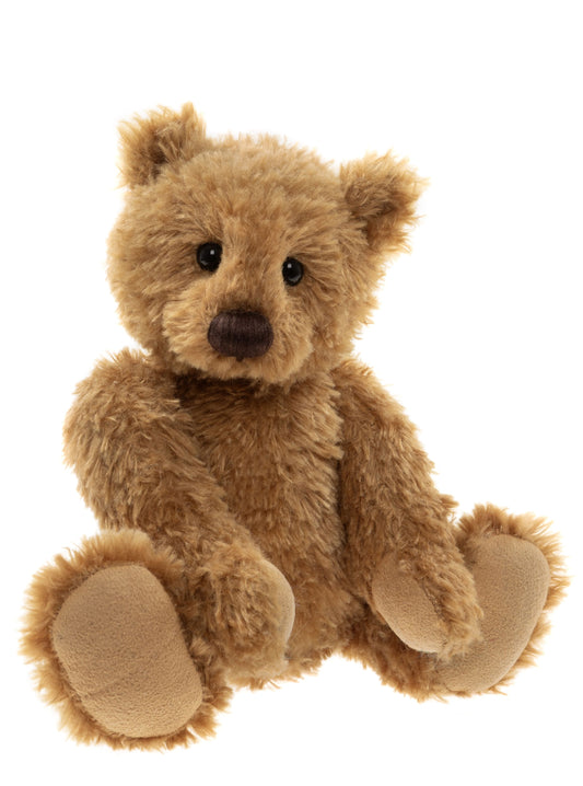 HUGGABLE HARRY 10" - Charlie Bears