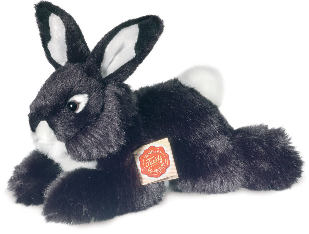 black rabbit teddy