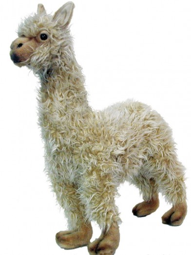 cuddly llama