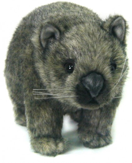 wombat teddy
