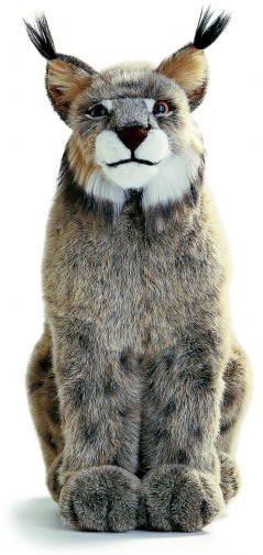 lynx teddy bear