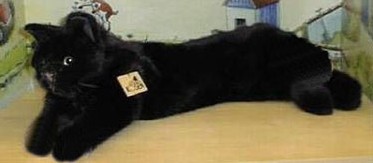 large stuffed black cat