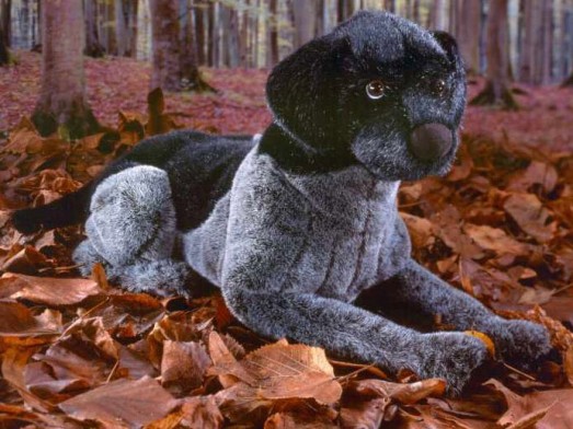 german wirehaired pointer stuffed animal