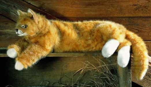 ginger cat teddy