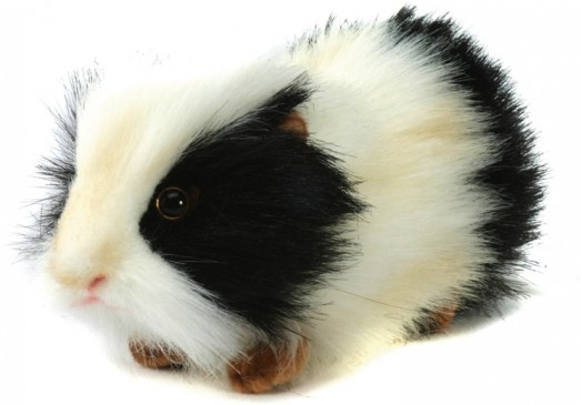 jellycat guinea pig